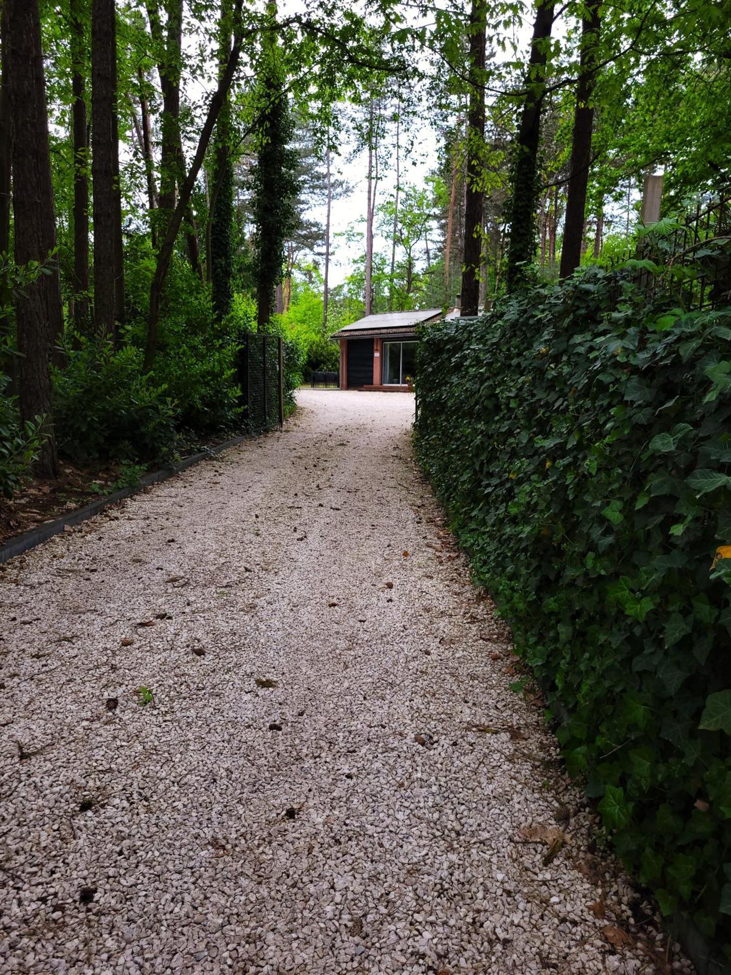 Secret Wellness Boszicht Holten Exterior foto